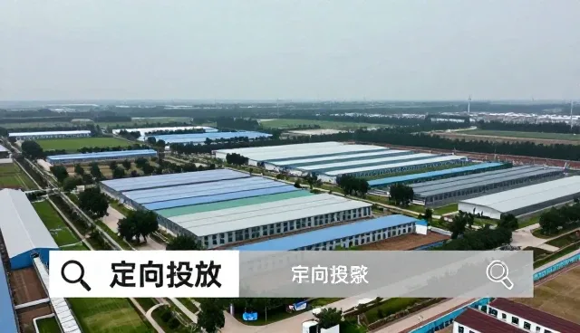 黄页服务中区域划分的常见问题与处理方法